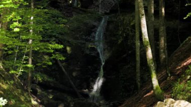 4k dağ şelalesi ile bir sonbahar günü nazikçe akan.