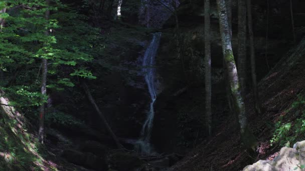 秋の日に優しく流れる山の滝で4K — ストック動画