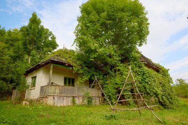 Transilvanya 'da bir yerlerde Romanya' dan yerel mimarisi olan eski evlerin manzarası.