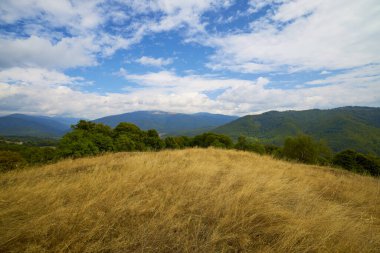 Romanya 'nın Karpat Dağları' nda Eylül ayında güzel bir dağ manzarası.