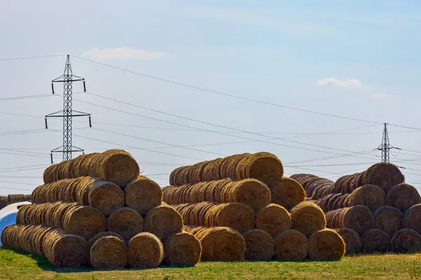 Straw Bales Stored Agricultural Farm Stock Image