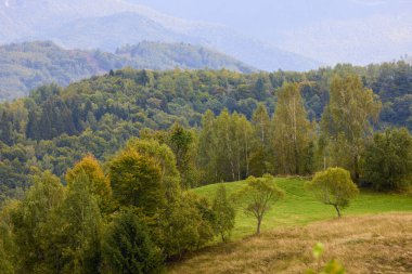 Romanya 'daki Karpat dağlarının kırsal bölgelerinden gelen dağ manzarası.