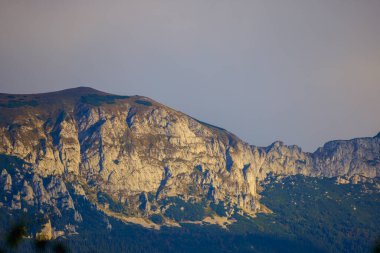 Romanya 'daki Karpat dağlarının kırsal bölgelerinden gelen dağ manzarası.