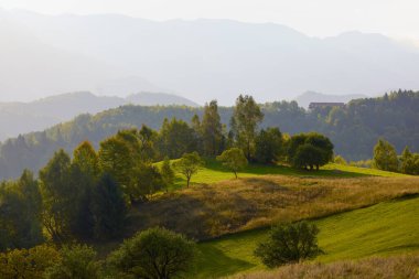 Romanya 'daki Karpat dağlarının kırsal bölgelerinden gelen dağ manzarası.