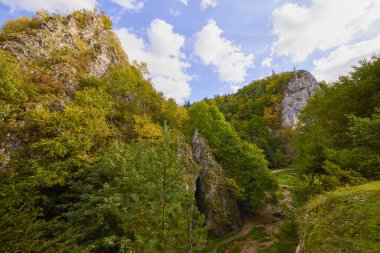 Romanya 'daki Karpat dağlarının kırsal bölgelerinden gelen dağ manzarası.
