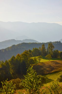 Romanya 'daki Karpat dağlarının kırsal bölgelerinden gelen dağ manzarası.