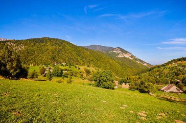Romanya 'daki Karpat dağlarının kırsal bölgelerinden gelen dağ manzarası.