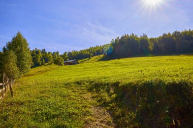 Romanya 'daki Karpat dağlarının kırsal bölgelerinden gelen dağ manzarası.