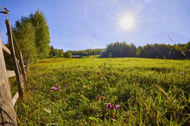 Romanya 'daki Karpat dağlarının kırsal bölgelerinden gelen dağ manzarası.