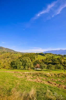 Romanya 'daki Karpat dağlarının kırsal bölgelerinden gelen dağ manzarası.