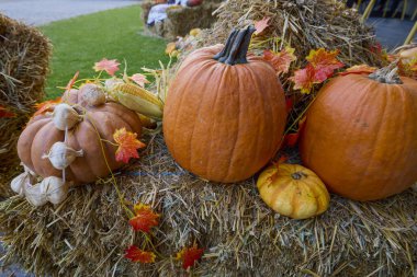 Image with decorations arranged for the Halloween celebration. clipart