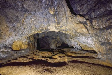 Bran Romanya 'daki yarasa mağarası, Karpat Dağları.