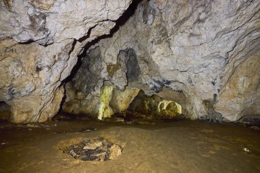 Bran Romanya 'daki yarasa mağarası, Karpat Dağları.