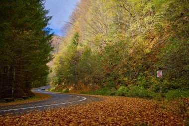 Bir dağ yolu ile güzel sonbahar manzarası