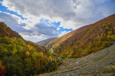 güzel sonbahar manzarası ve dağ ormanları Kasım başında.