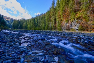 Dağ nehri ile güzel sonbahar manzarası