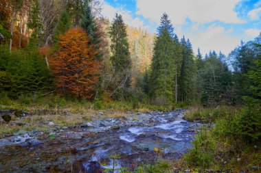 Dağ nehri ile güzel sonbahar manzarası