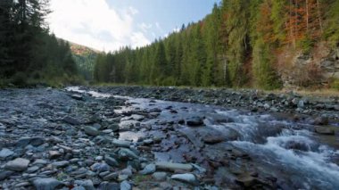 4k, sonbaharda doğa akan bir dağ nehri..