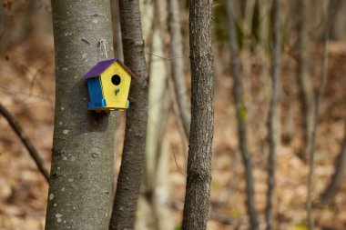 a beautifully colored birdhouse in the forest, hanging on a tree. clipart