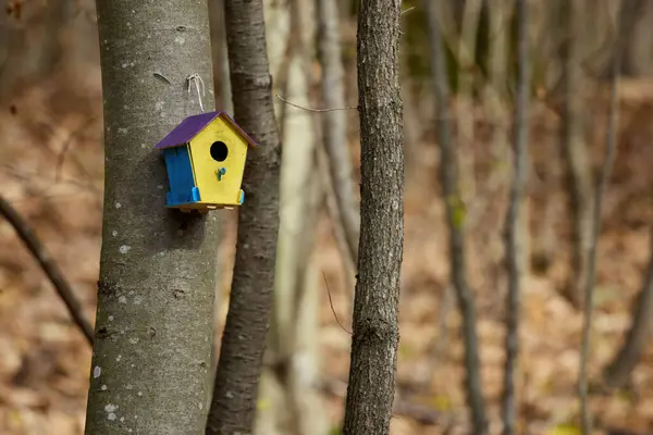 森林里的一座漂亮的彩色鸟舍 挂在树上 图库图片