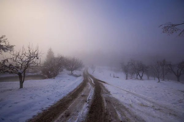 Winter landscape with a street that gets lost in the fog