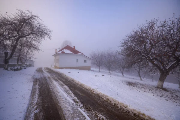 Winter landscape with a street that gets lost in the fog