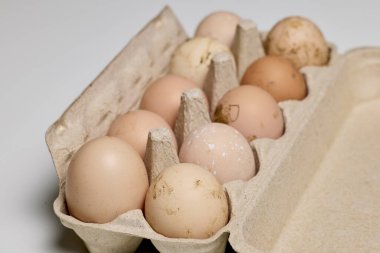 Küçük bir çiftlikten organik yumurtalarla yapılan bir çalışma..