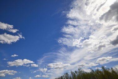 Mavi gökyüzü ve ormanın üzerindeki bulutlarla dolu bir manzara..