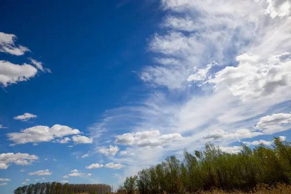 stock image landscape with blue sky with clouds above a forest.