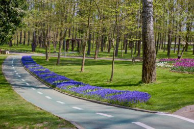 Parktaki güzel manzara, baharda lalelerle düzenleme..