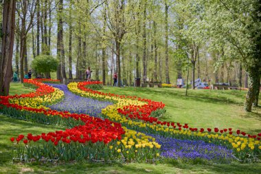 Parktaki güzel manzara, baharda lalelerle düzenleme..