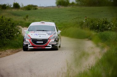 Albota, Arges Romania 09 Mayıs 2024, Arges Rallisi, rotanın ilk aşamasından görüntüler.