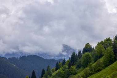 Dağlı güzel dağ manzarası Bucegi Romanya.