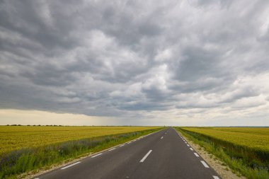 Tarımsal alanlar arasında asfalt yolu olan manzara