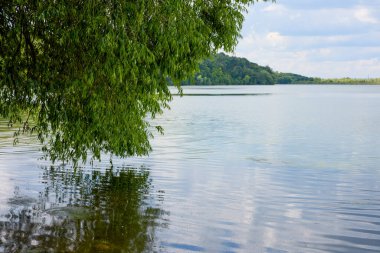 Kenarlarında ağaçlar olan bir göl manzarası