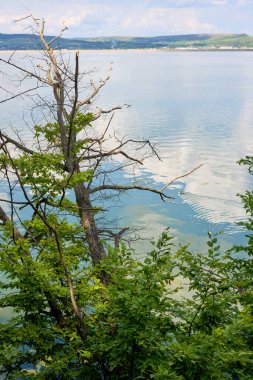 Kenarlarında ağaçlar olan bir göl manzarası