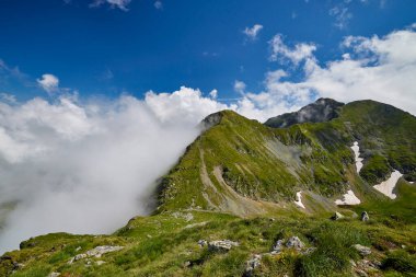 Romanya 'daki Fagarasi dağlarıyla bir yaz günü manzara.