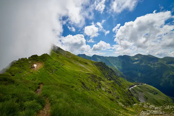 stock image Landscape with the Fagarasi mountains in Romania on a summer day.