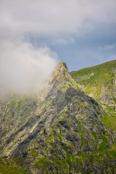 Romanya 'daki Fagarasi dağlarıyla bir yaz günü manzara.