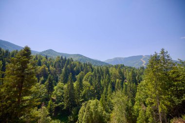 Romanya 'daki Maramures dağlarının kırsal kesiminin manzarası.