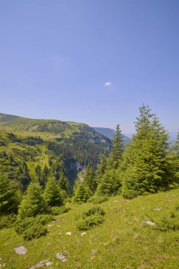 Romanya 'daki Maramures dağlarının kırsal kesiminin manzarası.