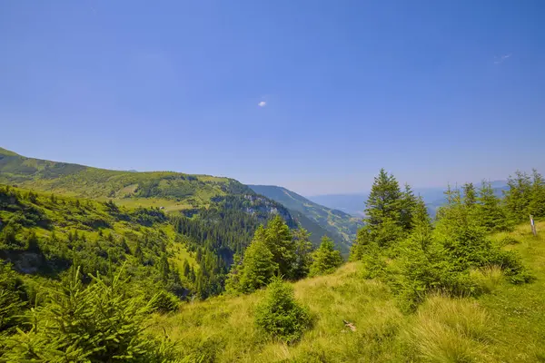 stock image landscape with the rural area in the mountains of Maramures in Romania.