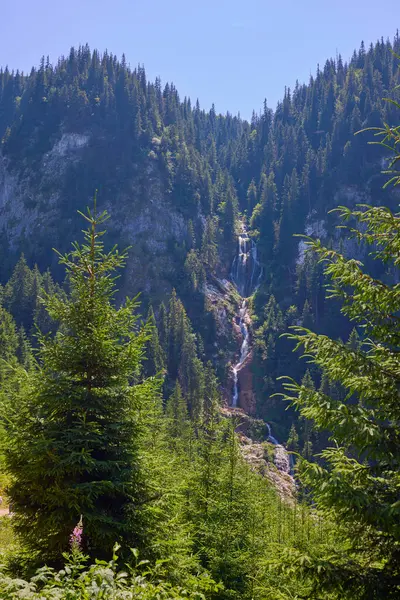 stock image landscape with the Cailor waterfall in the Rodnei Mountains, Romania, the second highest waterfall in the country.