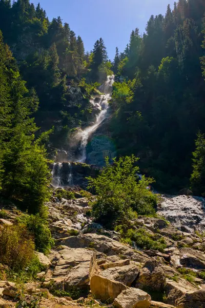 stock image landscape with the Cailor waterfall in the Rodnei Mountains, Romania, the second highest waterfall in the country.