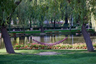 Gölün yakınındaki parkta iki ağaç arasında bir hamak.