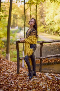 Güzel esmer bir battaniye ve sonbahar boyunca ormanda bir kitap.