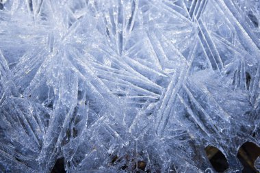 Gölün kıyısındaki buz oluşumuna yakın.