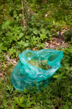 Ormanda yerde bir torba ısırgan otu.