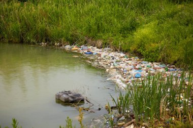 Çöp ve plastik atıklarla kirlenmiş bir göl..