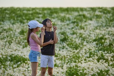 Karahindiba otlağında oynayan iki sevimli çocuk..